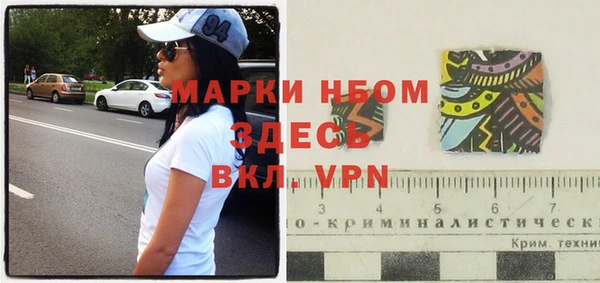 сатива Ростов