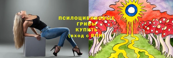 spice Алзамай