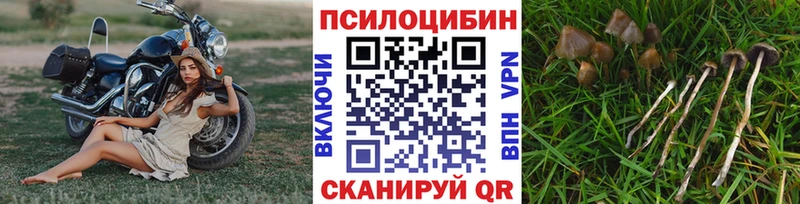 цена наркотик  кракен как зайти  Галлюциногенные грибы Magic Shrooms  Нижние Серги 